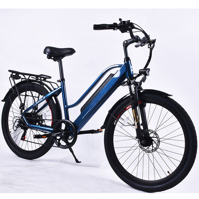 bici elettrica del pendolare della città 36V, incrociatore elettrico inossidabile della città della bici 7Speed